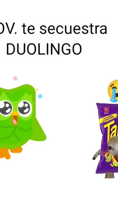 duolingo memes|duolingo te secuestra.